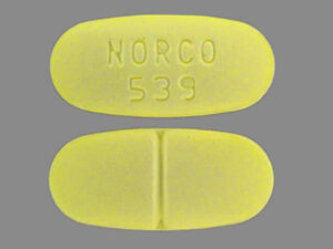 NORCO 325/10 MG (WATSON 539)
