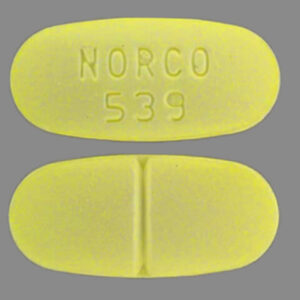 NORCO 325/10 MG (WATSON 539)