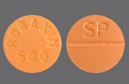 ROBAXIN METHOCARBAMOL 500 MG